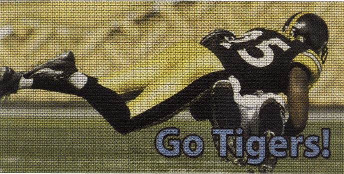 Go Tigers Banner