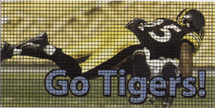 Go Tigers - LED Display