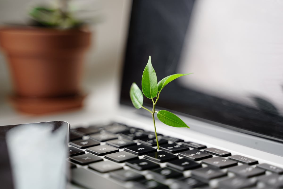 LED lighting and reducing the carbon footprint of your home and office